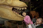 Canadian Museum of Nature